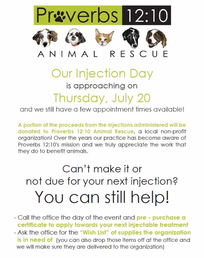 animal rescue nashville