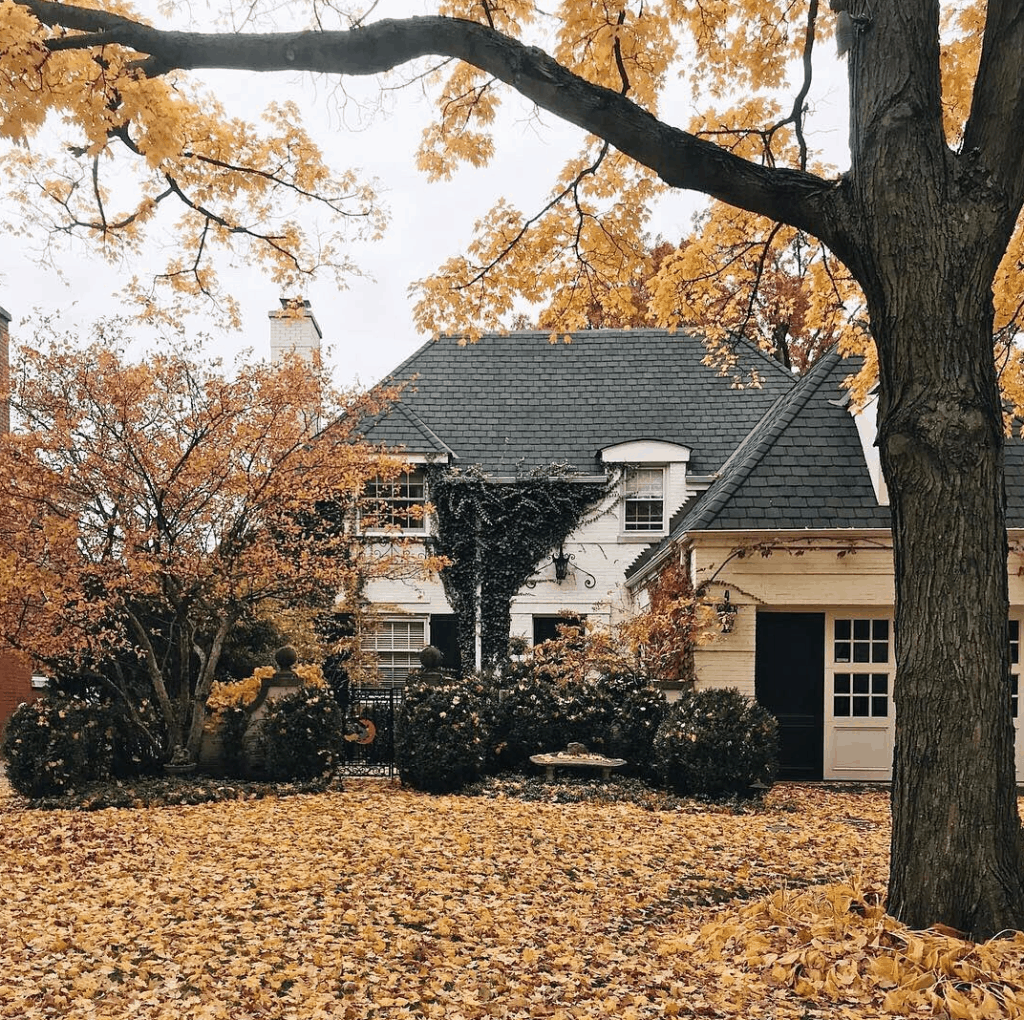FALL house